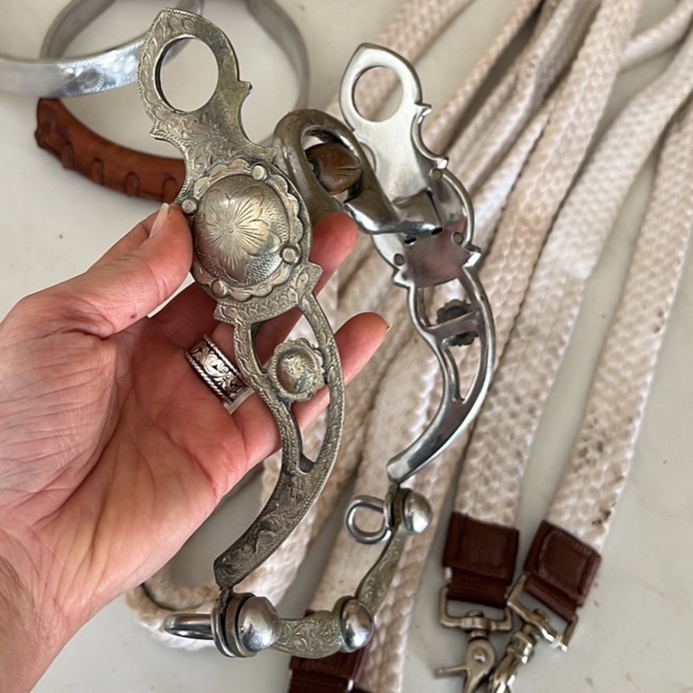 Silver show bit